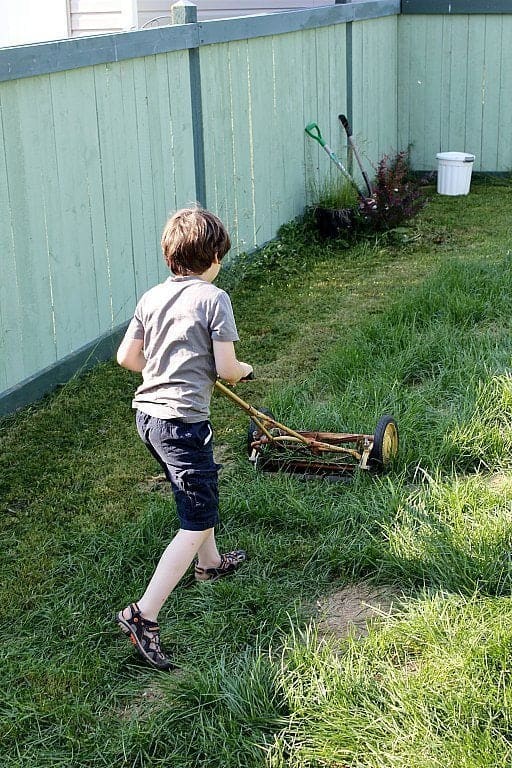 young boy pushing an old fashioned grass cutter