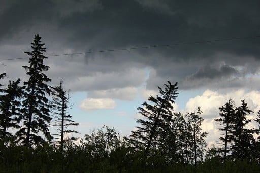 storm2 dark clouds and pine trees