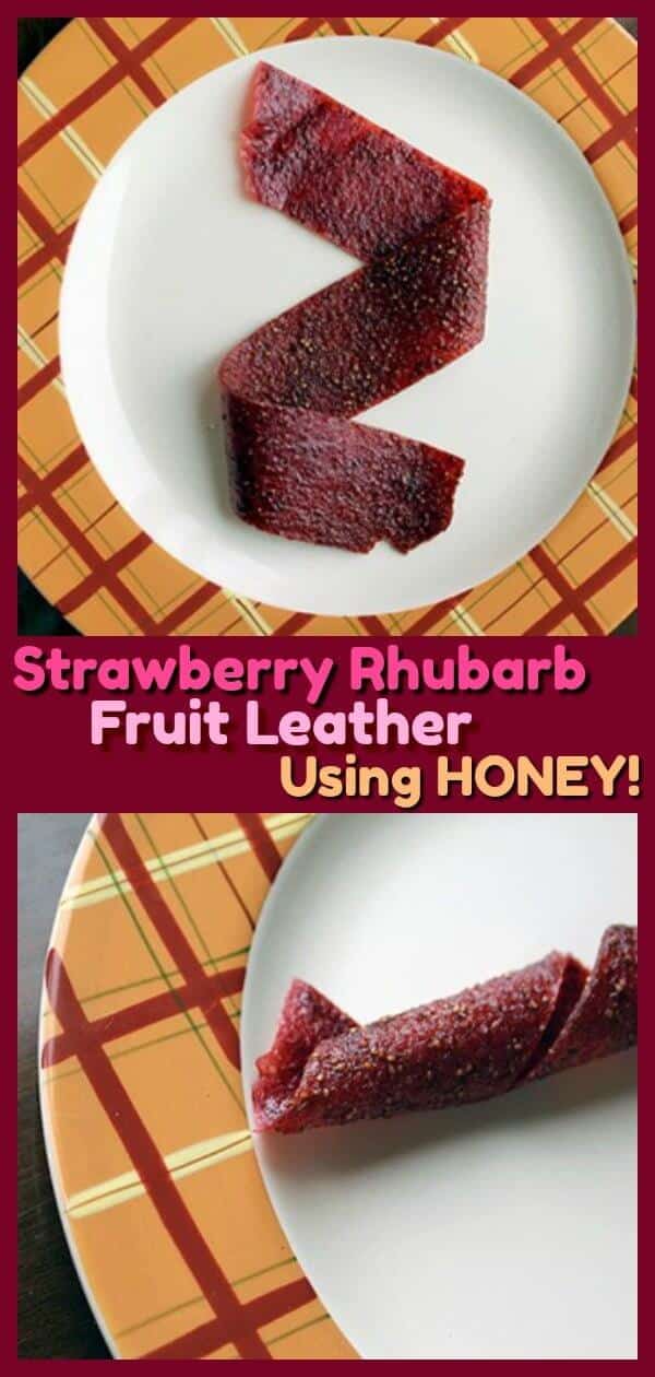 Homemade Strawberry Rhubarb Fruit Leather USING HONEY! The kids loved this - and so did the adult in the house! A great way to use up rhubarb! #recipes #rhubarb #strawberry #strawberries #recipes #family #cooking #baking #kids #spring #summer