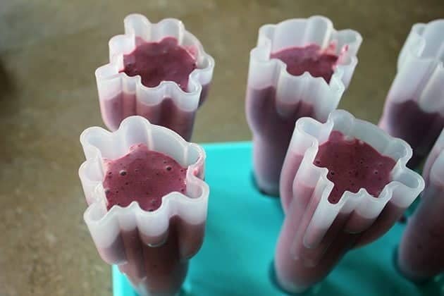 popsicle molds filled with Puree ingredients of Saskatoon berries