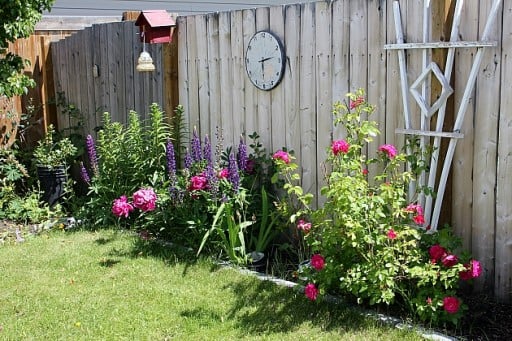 the yard with blooming flowers the a wall clock 