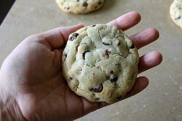 large chocolate chip cookie in hand