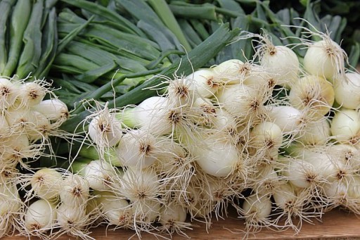 bundles of spring onions