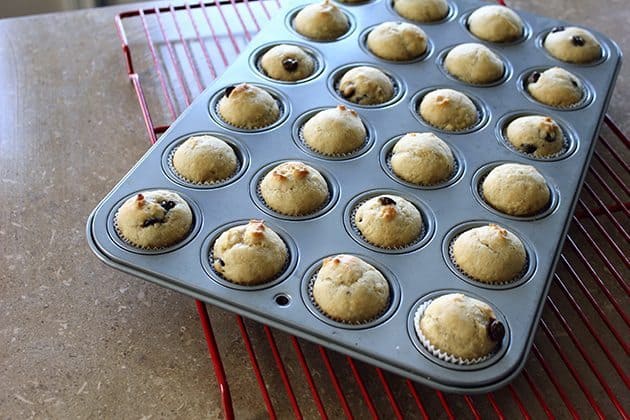 freshly baked Mini Muffins in muffin tins