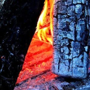 close up of burning wood of camp fire