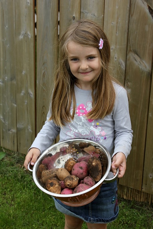 little girl carrying the large kitchen strainer full of potatoes