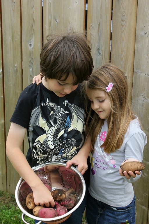 little siblings counting the potatoes inside the large kitchen strainer
