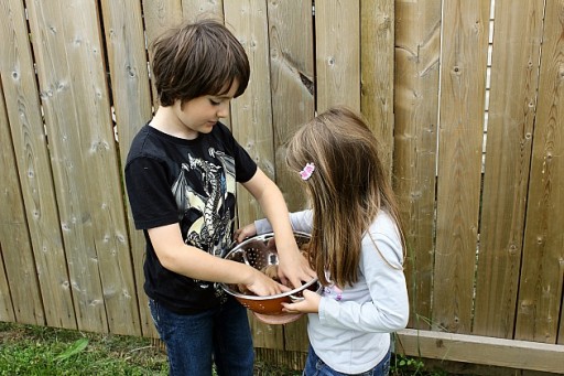 young siblings standing near the fence, busy with the newly harvest potatoes