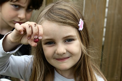little girl showing the very small piece of tomato they've picked