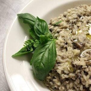 close up of wild mushroom risotto in a white plate, garnish with basil leaves