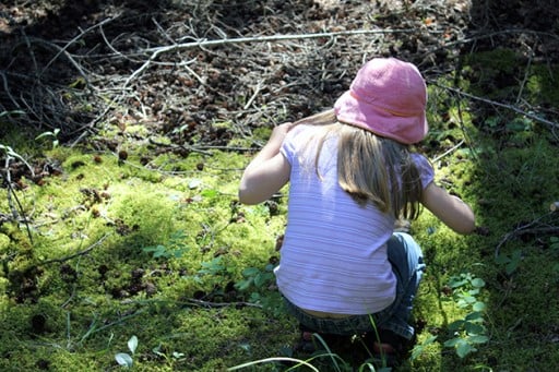 little girl sitting looking up for mushrooms