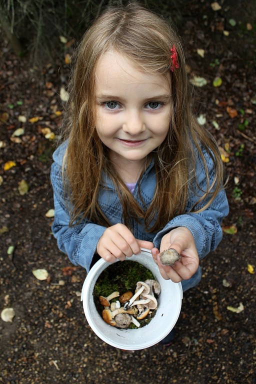 top down shot of a little girl holding a pale and a piece of mushroom