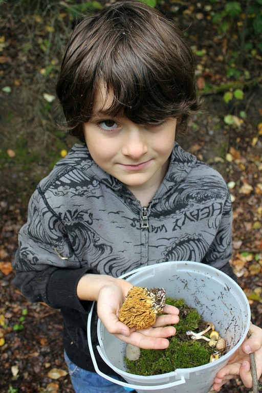 top down shot of a little boy holding a yellow coral mushroom and a pale