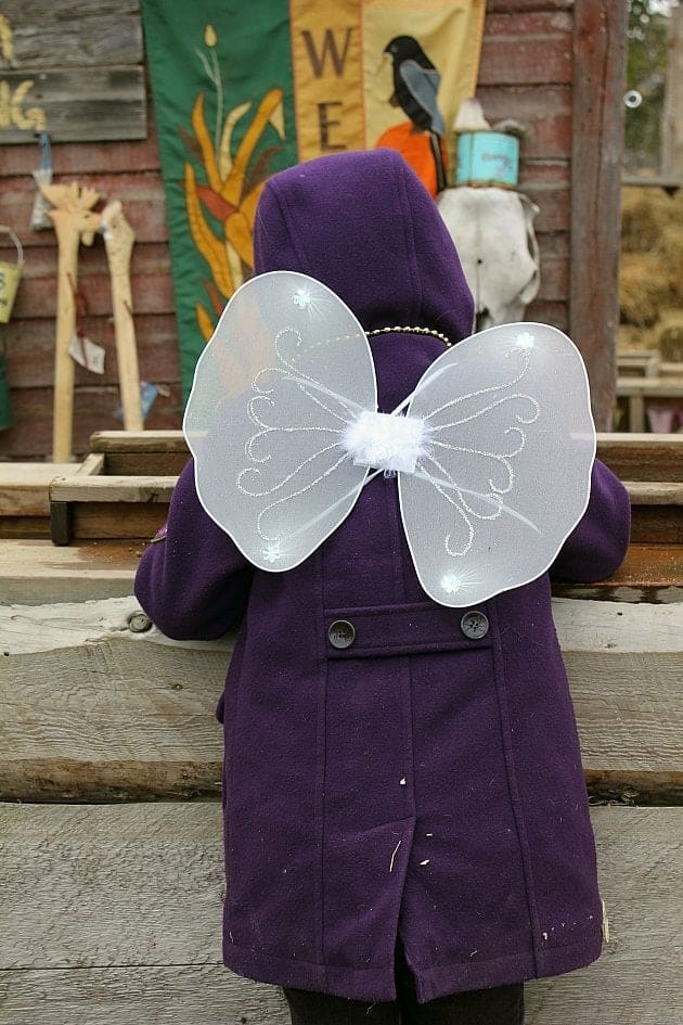 fairy wings at the back of a violet coat of a kid