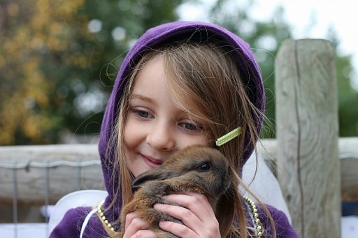 little girl wearing violet jacket with hood, holding a brown rabbit