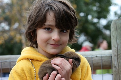 close up of little boy holding a brown rabbit