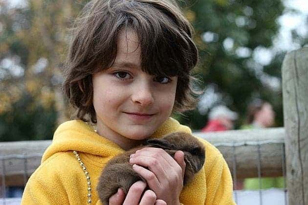 close up of a boy holding a brown rabbit