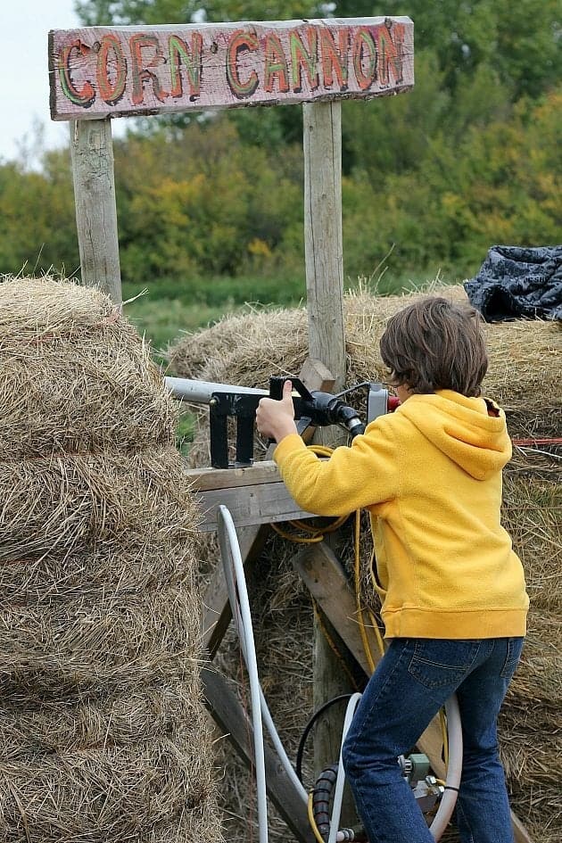 little boy using the corn cannon in between hay bales