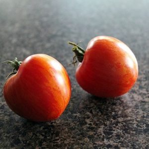 close up two pieces red fresh tomatoes