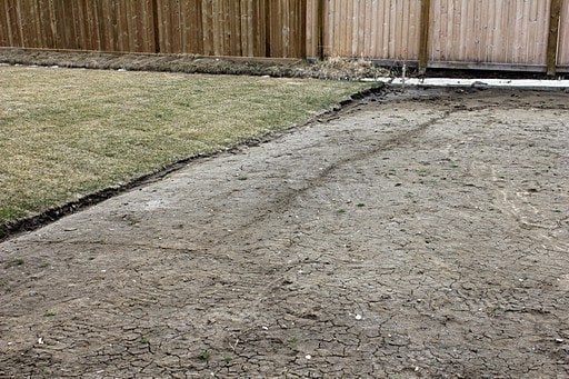 the backyard with dried soil and grasses