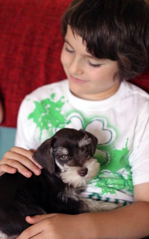 little boy with the cute little dog on lap