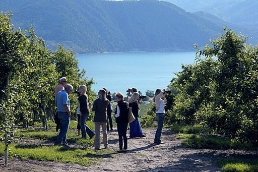 group orchard tour