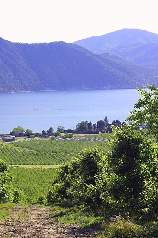 view of plantation, lake and mountains