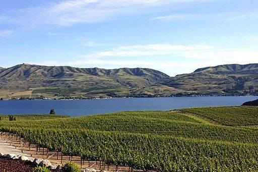 another beautiful view of plantation, lake and mountain from the other side of winery