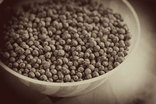 saskatoon berries in a large bowl