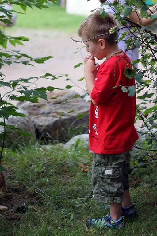 a kid eating saskatoon berries 