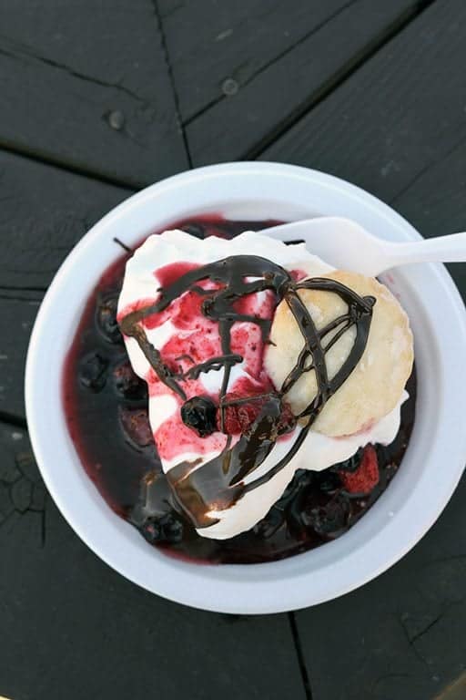 bumbleberry shortcake with chocolate syrup