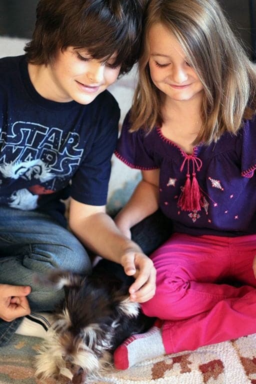 little boy and girl sitting on the floor with their cute dog