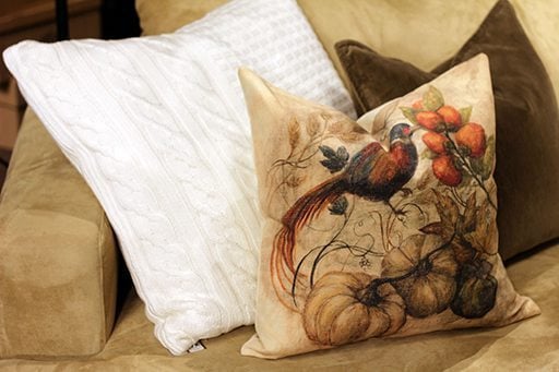 hand crafted pillows in the couch with an image of bird in pumpkins