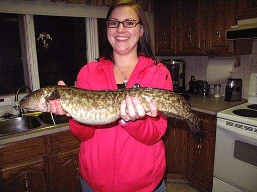 woman in the kitchen holding a big burbot with both of her hands