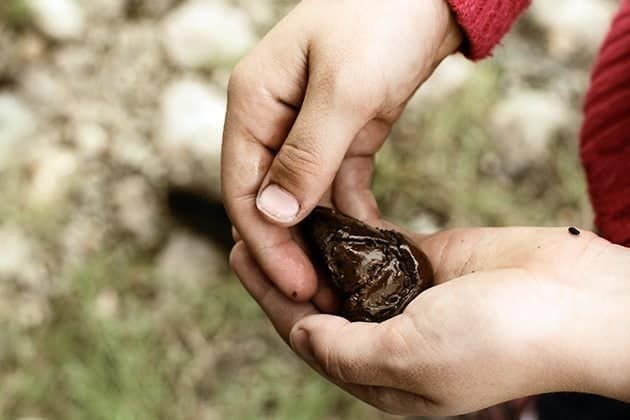 holding a thing with both hands