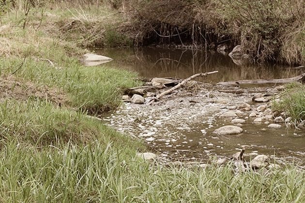 geochaching in a  beautiful little creek