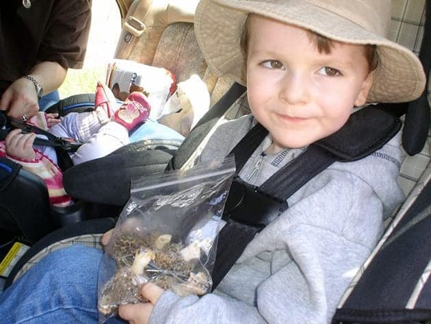 little kid holding a pack of morel mushroom, a baby beside him