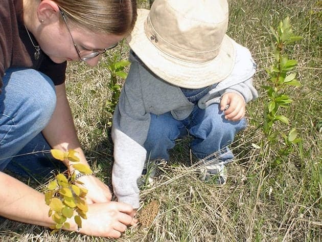 a kid picking up spring morel mushroom with his mom