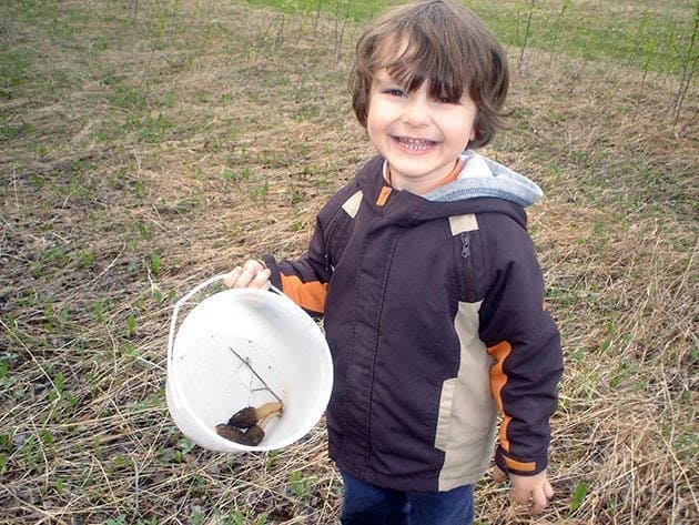 little kid's bucket with some pieces of morel mushrooms