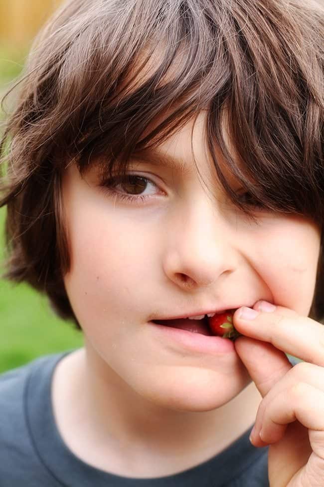 young boy having a bit of fresh strawberry