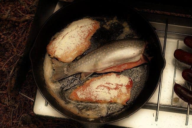 Wild Caught Brook Trout in a skillet