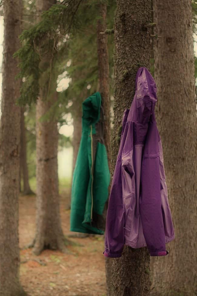 green and violet jackets hung in pine tress