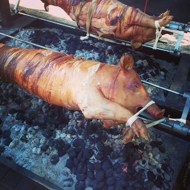 roasting a two whole pigs
