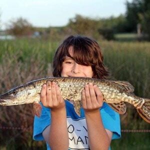 young boy wearing blue shirt holding a Northern Pike