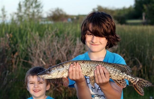 young boy wearing blue shirt holding a Northern Pike