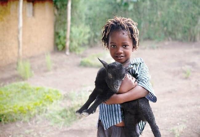 young kid carrying a black baby goat