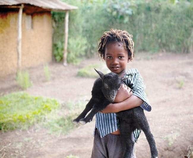 young kid carrying a black baby goat 
