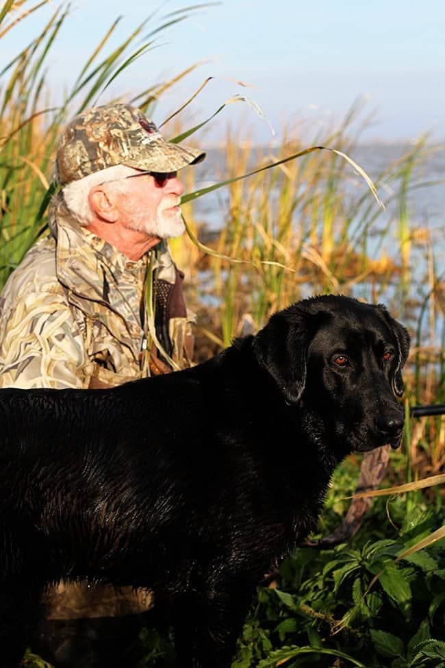 man wearing duck hunting gears together with a big black dog