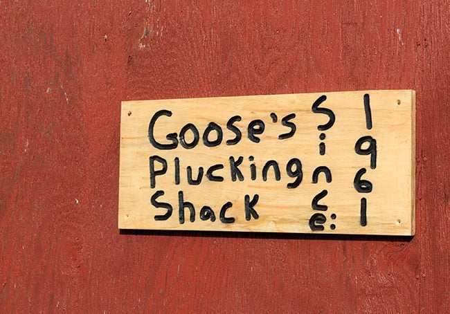 Wood Signage at the door of Jimmy Robinson's Duck Lodge
