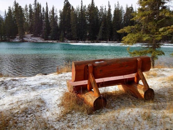 relaxing view of lake and trees with a bench on the side